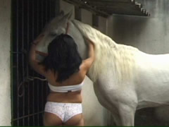 Argentinian Horse Sex