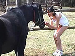 Bulgarian Horse Sex