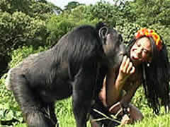 Country Bestiality Orgy With Chimpanzee