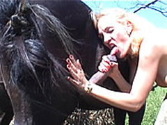 Croatian Horse Sex