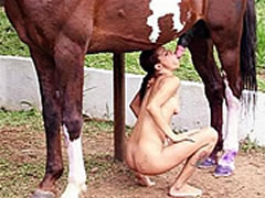 Cum on Feet Horse Sex