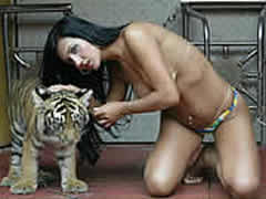Celebrity Zoophytу Sex With Tiger