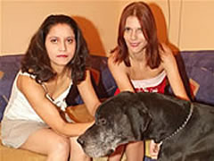 Double Penetration Dog Sex With Two Dutch Girls