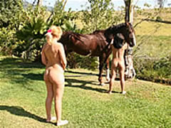 DVD's Zoofeliya Horse Sex Outdoors Party