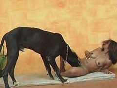 Latin Dog Sex Experience