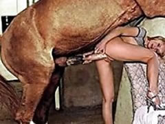 Slut swallowing a big horsecock